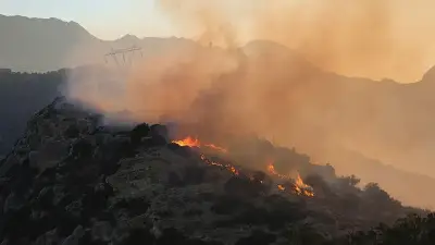 Yunanistan'da 6 yangın çıkardığı ileri sürülen şüpheli gözaltına alındı