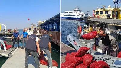 İzmir Balçova'da Yasa Dışı Avlanan 560 Kilo Kara Midyeye El Konuldu
