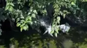 Çalılıkların Arasında Mahsur Kalan Kişiyi İtfaiye Kurtardı