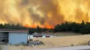 Çanakkale'de 2 ayda 541 hektar alan orman yangınlarında zarar gördü