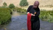 Ata mirası kök boya geleneğini gelecek kuşaklara aktarıyor: 500'ü aşkın reçete