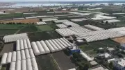 Balpınar'da 2 serayla başlayan yolculuk 650 milyon lira getiriyor