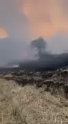Bolu Göynük'te orman yangını: Ekipler seferber oldu