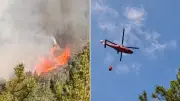 Bolu Göynük'te orman yangını: Havadan ve karadan müdahale