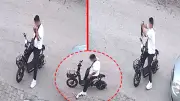 Bolu'da yavru kedi vahşeti: Önce öptü, sonra boğdu