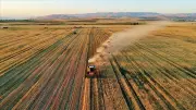 FAO: Küresel Gıda Fiyatları Son 3 Yılın Zirvesinde