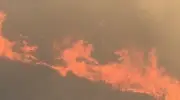 Hatay'da orman yangını kontrol altına alındı, soğutma çalışması sürüyor
