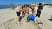 Kuşadası'nda deniz suyunda kalan 68 caretta caretta yumurtası güvenli bölgeye taşındı