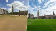 Londra'da kuraklık: Parlamento Meydanı'nda yeşil yerini sarıya bıraktı