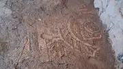 Mardin'de tarihi eser operasyonunda 1500 yıllık mozaik ele geçirildi