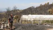 Muğla Büyükşehir'den Seydikemer'de yangın mağduru üreticilere destek