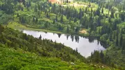 Murgul Karagöl: Artvin'in Saklı Cenneti Keşfedilmeyi Bekliyor