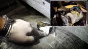 Osmaniye'de kamyonda 89 kilo 550 gram uyuşturucu ele geçirildi