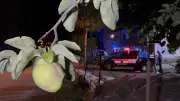 Samsun'da ayva ağacını kesen amcasını tabancayla öldürdü