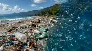 Sıfır Atık Vakfı, Akdeniz ve Ege'de plastik kirliliğini yerinde inceleyecek