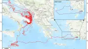 Uydu ile izlenen caretta caretta Tuba, Bodrum açıklarında