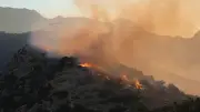 Yunanistan'da 6 yangın çıkardığı ileri sürülen şüpheli gözaltına alındı
