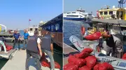İzmir Balçova'da Yasa Dışı Avlanan 560 Kilo Kara Midyeye El Konuldu